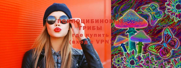 таблы Лабытнанги