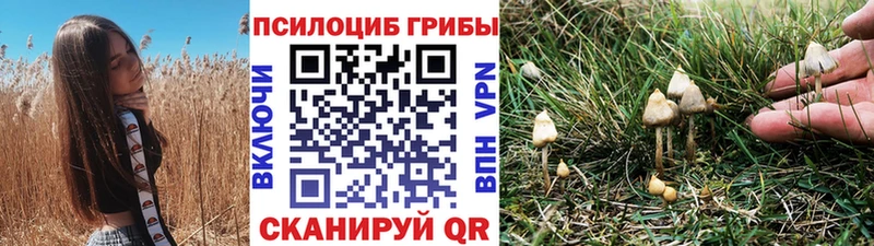 Галлюциногенные грибы MAGIC MUSHROOMS  Купить  Пикалёво 